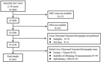 Association of Metabolic Dysfunction-Associated Fatty Liver Disease and Liver Stiffness With Bone Mineral Density in American Adults